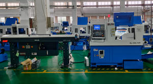 Автомат продольного точения BLIN Machinery CSL 125 Fanuc